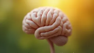 Neurobiologie der Melancholie: Warum das Ende des Sommers eine natürliche Anpassung ist