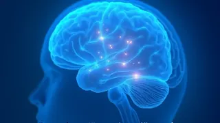 Neurologische Schnittstelle: Wie gestörte Reizfilterung bei ADHS Migräne begünstigt