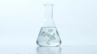 Nobelpreis für Chiralität: Zwei Pioniere der asymmetrischen Synthese geehrt