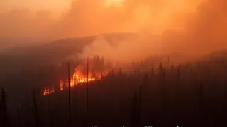 Notstand in British Columbia: Waldbrände zwingen zur Extremmaßnahme