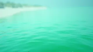 Ökologische Warnsignale: Blaualgenplage in der Ostsee und ihren Seen