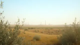 Ölpreisrallye am Ende? Deeskalation in Iran dämpft Marktpanik