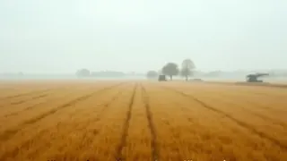 Ostländer warnen vor massiven Einkommensausfällen durch neue EU-Agrarregeln