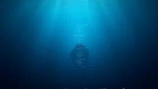 Physiker dokumentiert ungewöhnliche Unterwasserbegegnung mit sonarverifizierten Daten