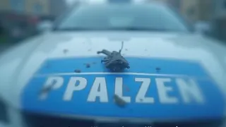 Polizeieinsatz in Wittenberge: Eskalation durch waffenähnlichen Gegenstand