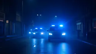 Polizeieinsatz und Staatsschutzermittlungen nach Angriff auf AfD-Politikerin in Gelsenkirchen