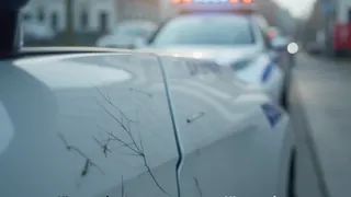 Polizeifalle in Harburg: Festnahme nach jahrelanger Kratzserie