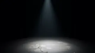 Prekäre Verträge und Machtmissbrauch im deutschen Ballett