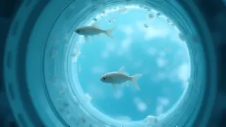 Raumfisch-Experiment: Acht Medaka-Küken schlüpften 1994 im Orbit
