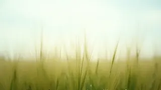 Realistische Naturbilder und kritische Wirtschaftsdebatten