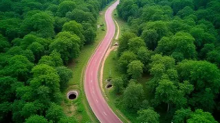Rote Asphaltstreifen und unterirdische Tunnel: Indiens umstrittener Kampf gegen Wildunfälle
