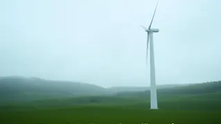 Sachsen erwägt vorübergehenden Stopp neuer Windgenehmigungen bis zur Festlegung der Vorrangflächen