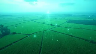 Satelliten, KI und Palantir sollen US-Landwirtschaft zentral erfassen