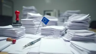 Satirischer Angriff auf EU-Förderung: Studie zum weiblichen Humor als Symbol für Bürokratiekritik