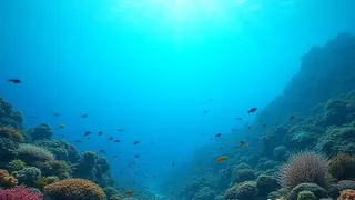 Schwacher Schutz: Ein Viertel der marinen Schutzgebiete erfüllt seine Funktion