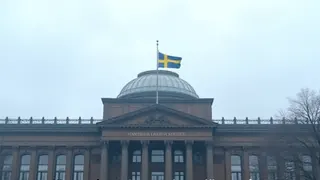 Schweden setzt auf präventive Justiz: Senkung des Strafmündigkeitsalters als Chance zur Resozialisierung