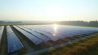 Solarpark in Schenkendöbern: Gemeinderat stimmt gegen Landschaftswandel zu
