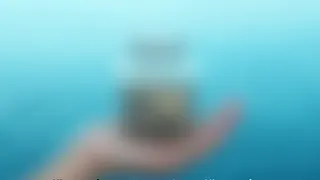 Solidaritätsaktion für Abgeordnete: Spendenüberschuss fließt an Seenotretter
