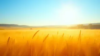 Sommerliche Temperaturen im Süden: DWD prognostiziert bis zu 28 Grad