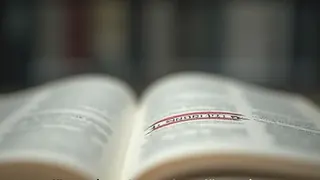 Sprachwandel unter Kontrolle: Wie der Langenscheidt-Verlag politische Provokation ausfiltert