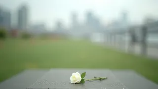 Stille Zeugin des Vietnam-Krieges: Die vergessenen Witwen Australiens
