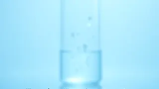 Studie zu Urolithin A: Immunzellen im Alter revitalisieren?