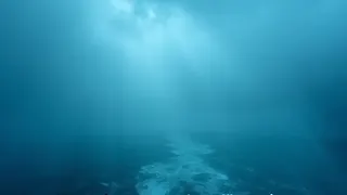 Sturmwarnung: Typhoon Dolphin trifft China mit heftigen Winden und Regen