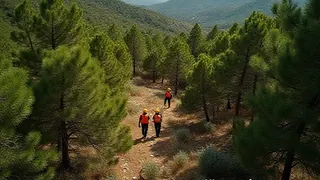 Suchaktion auf Mallorca: Vater verliert sich bei Hilfeleistung, Kinder bleiben unversehrt