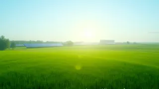Suffolk schützt Ackerland vor Solarparks