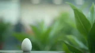 Tamagotchi für Zimmerpflanzen: Ich habe es auf der IFA getestet