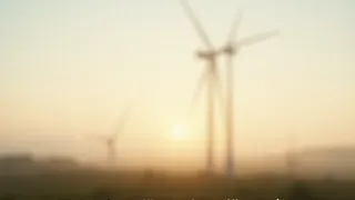 Tausende Greifvögel geschreddert: Das verdrängte Vogelsterben durch Windkraft