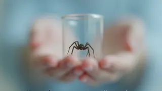 Therapie-Erfolgsgeschichte: Die Überwindung der Arachnophobie durch Konfrontation