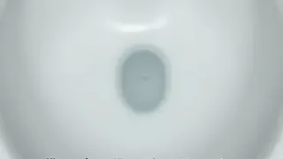 Trinkwasser als Toilettenspüler: Eine verpasste Chance für die Ressourceneffizienz