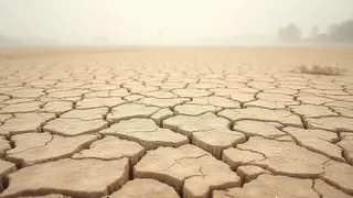 Trockenheit im Taunus: Wenn der Notstand zur Erziehungsmethode wird