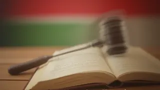 Ungarns Verfassungsreform: Ein Modellfall für institutionellen Wandel und Rechtsstaatlichkeit