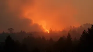 Versicherer warnen vor Milliardenschäden durch Waldbrände Was muss jetzt passieren?