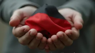 Vertrauensverlust unter jungen Deutschen als Indikator für gesellschaftlichen Wandel