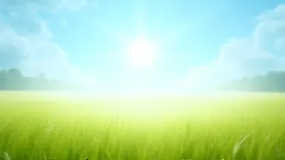 Wetterlage: Sonne und Wolken wechseln sich ab, Temperaturen im Sommerbereich