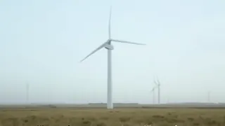 Windenergie als Preistreiber: Die wahren finanziellen Kosten der Windparks