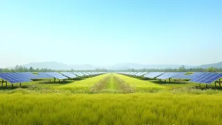 Wissenschaftliche Erkenntnisse zu Biodiversität und Solarausbau in China