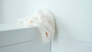 Wohnraumhygiene: Fachfrau rät zu konsequentem Feuchtwischen statt Desinfektion
