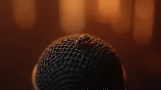 ZDF-Moderatorin übersteht Insektenstich im Live-TV ohne Sendungsabbruch