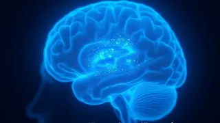 Zusammenhang zwischen gestörter nächtlicher Hirnaktivität und Alzheimer-Markern